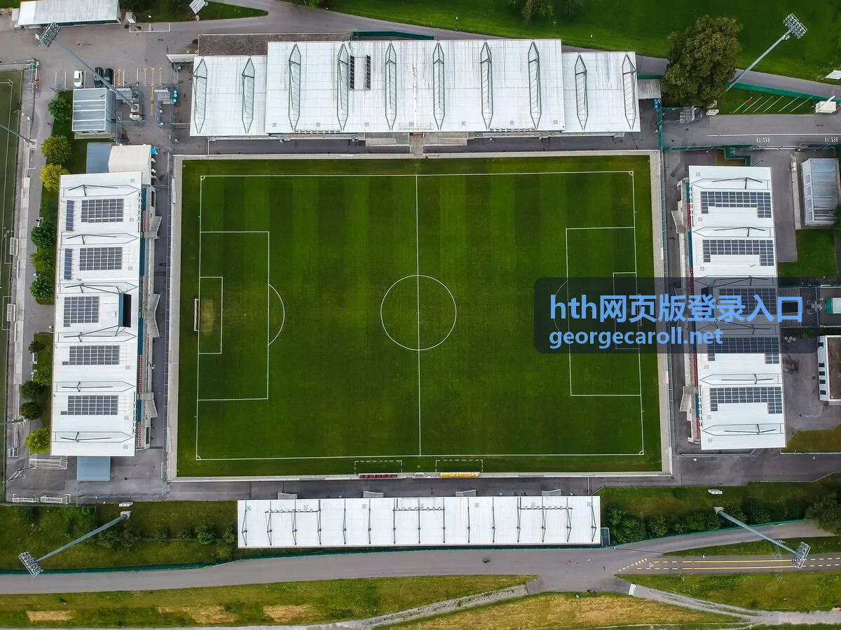 hth网页版登录入口登录设备与记录查看界面示意
